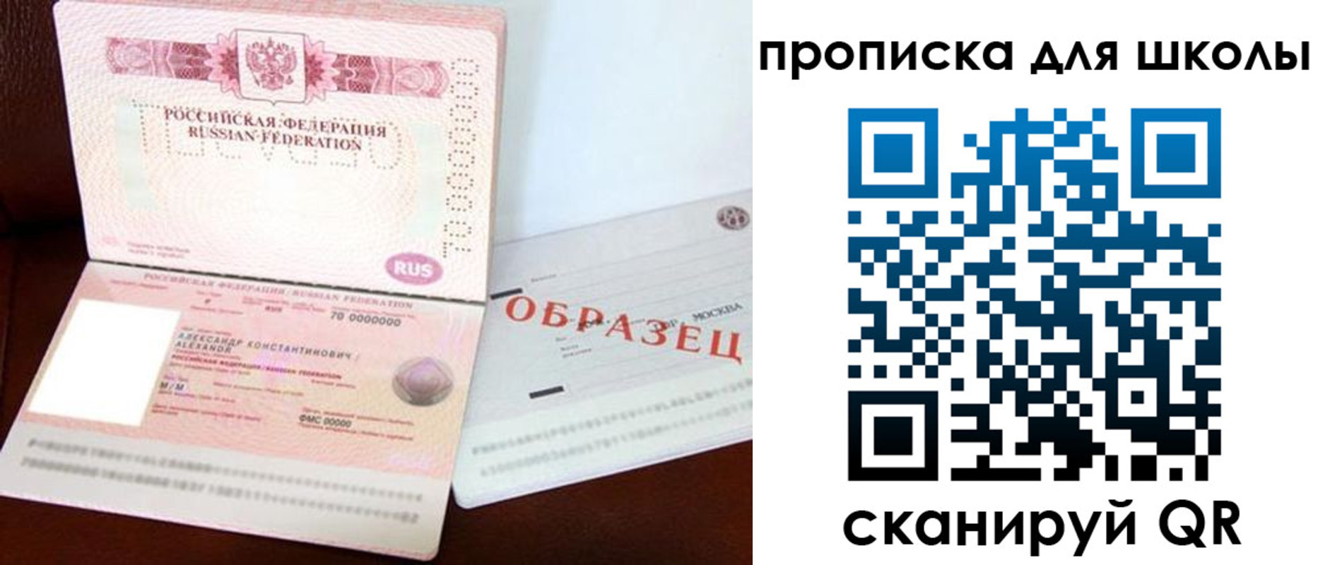 прописка для школы в Пионерском